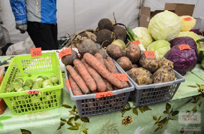 В Пермских магазинах протестируют местную фермерскую продукцию