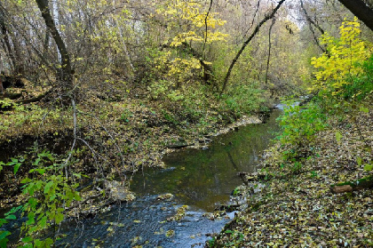 В мае в Прикамье могут появиться три новые особо охраняемые природные территории 