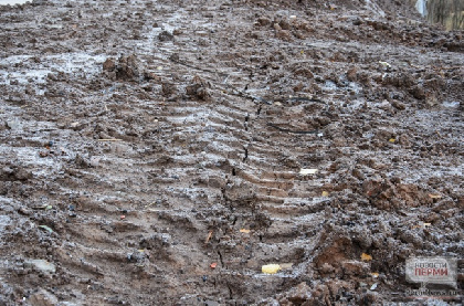 Бастрыкин потребовал доклад о ходе дела по разбитой дороге в Чайковском округе