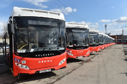 В Перми появились еще три автобуса с бесплатными пересадками