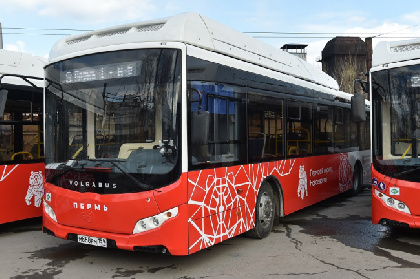 Автобусы №2 и №3 будут ходить по улице Советской