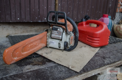 Прикамца оштрафовали на 200 тысяч за незаконную рубку 48 деревьев