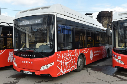 Автобусы №2 и №3 будут ездить до завода Шпагина