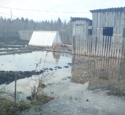 В поселке Яйва затопило дворы частных домов