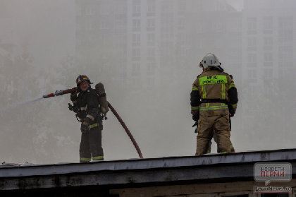 В Прикамье ожидается высокая пожарная опасность четвертого класса