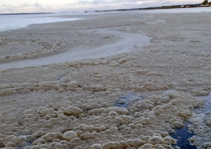 В Березниках рыбаки обнаружили сильное загрязнение Камы