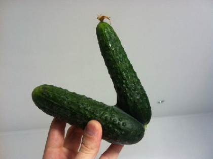 В Прикамье в четыре раза выросли поставки свежих огурцов из Казахстана