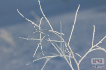 Ожидаются сильные морозы: прогноз погоды на неделю в Прикамье