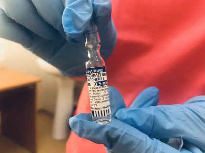 В Прикамье для первичной иммунизации от коронавируса временно запретили вакцину «Спутник Лайт»