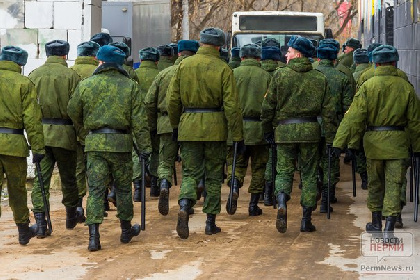 Увеличилось количество военнослужащих из Пермского края, пропавших без вести на СВО