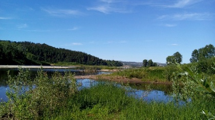 С начала года в Пермском крае утонуло пять детей