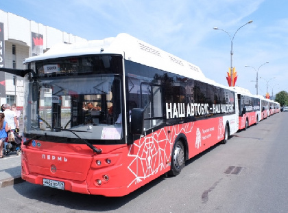 Власти Перми объявили аукционы на обслуживание 13 автобусных маршрутов