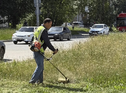 В Перми по проекту «Пермь в порядке» косят траву на десятках улиц, чистят ливневки и обновляют опоры освещения