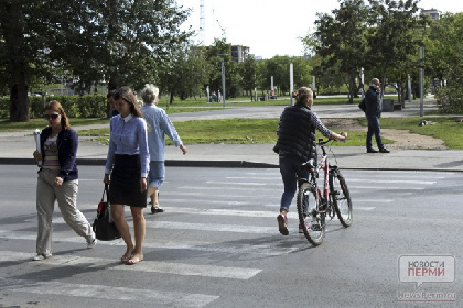 Дороги в Пермском крае оснастят «умными» пешеходными переходами