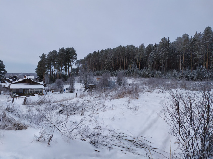 На неделе в Прикамье ожидается повышение температуры до -8°