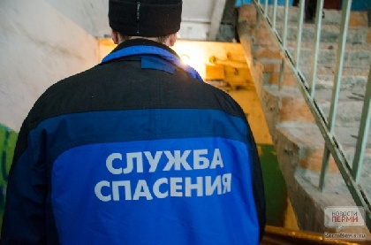 Пермяка напугало «крупное земноводное» на заборе