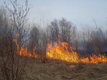 За сутки в Прикамье случилось 108 пожаров