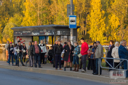 В Прикамье предложили развести потоки пассажиров в общественном транспорте
