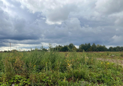 По иску прокуратуры в собственность Осинского округа вернули более 30 гектаров земли