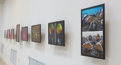 В Перми открыта выставка фотографий, сделанных пациентами детского онкоцентра