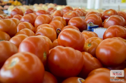 В Перми оштрафованы продавцы овощей и фруктов