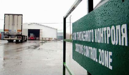 В Пермский край впервые за год ввезли крупную партию белых баклажанов из Китая