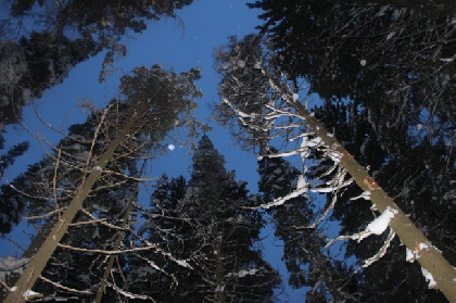 Минтербез Прикамья призвал туристов регистрировать маршруты в МЧС после трагедии на плато Кваркуш