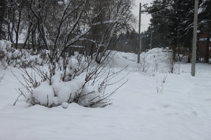 В Чайковском округе женщина час пролежала под завалами снега