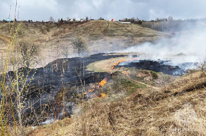 В Пермском крае начала гореть сухая трава