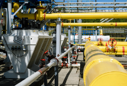 В Прикамье планируют увеличить загрузку газозаправочной инфраструктуры 
