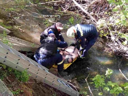 В Перми спасатели достали из Данилихи раненого мужчину 
