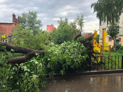  В Перми устраняют последствия грозы