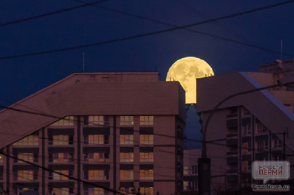 Суперлуну можно будет увидеть в Перми 4 и 5 декабря