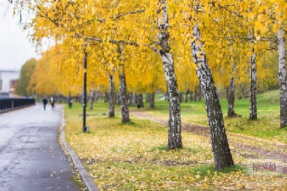 Осень 2014 года признана самой холодной за последние 15 лет 