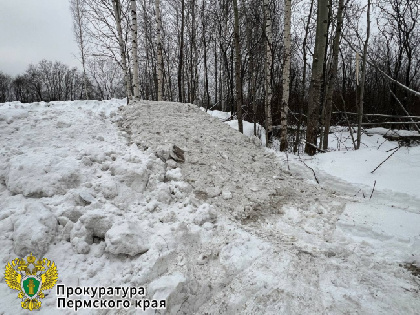 В Перми возле Камы сбросили грязный снег