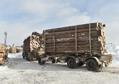 Пермские таможенники пресекли контрабанду леса на 6 млн рублей в одну из стран ближнего зарубежья