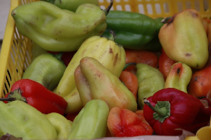Пермские таможенники нашли партию неизвестных овощей и фруктов