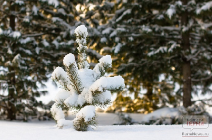 Мокрый снег и гололед: в Прикамье потеплеет до +2°С