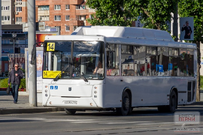 На Покров в Перми изменится движение общественного транспорта