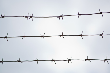 В Чердыни осужденный пытался дать взятку сотруднику колонии