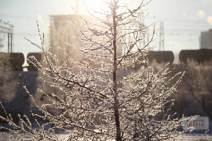 В Прикамье похолодает до -23°С