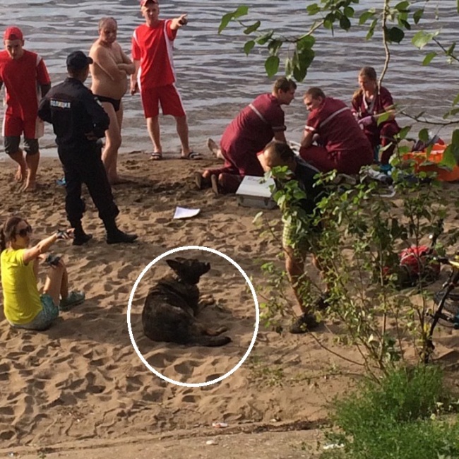 расстрел туристов в тунисе на пляже 2015. убийство девушки на пляже. убитую на пляже. дэвид теннант убийство на пляже. убитая на диком пляже в палатке.