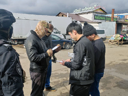 В Прикамье пресечена деятельность преступной группы по фиктивной легализации мигрантов