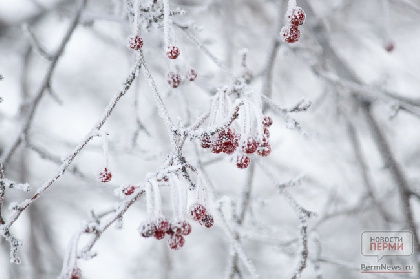 В Пермском крае февраль ожидается близким к климатической норме