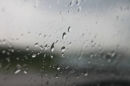 В Прикамье ожидается дождливая неделя