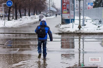 В Пермском крае ожидается аномальное потепление