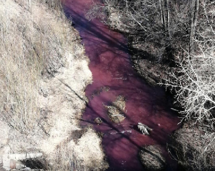 В Перми река Егошиха окрасилась в багровый цвет