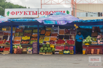 В Перми – новый виток борьбы с НТО