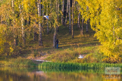 В выходные в Прикамье потеплеет до +13°С