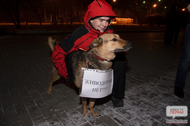 Живо деры. Живодёры над животными.